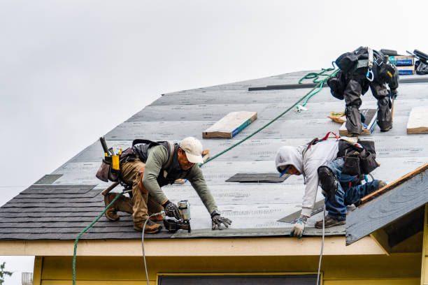 Professional Gutter Installation technician working in Sheakleyville, PA